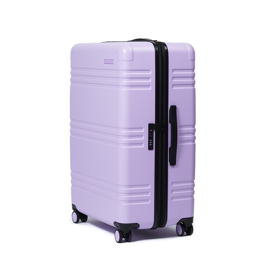 Check-in Luggage MAX